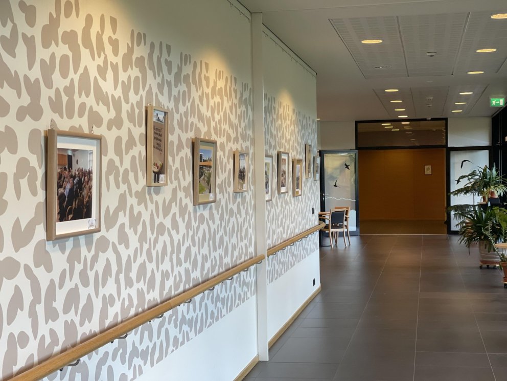 Ljósmyndasýning í tengigangi