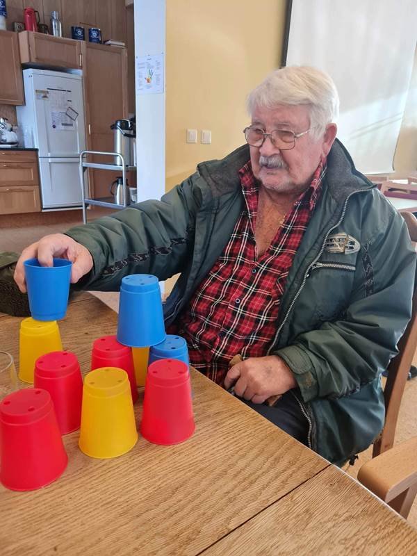 Lífshlaupið í Ási