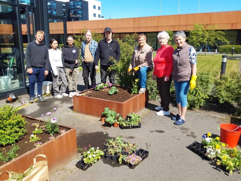 Blóm fyrir blómaklúbbinn 60+
