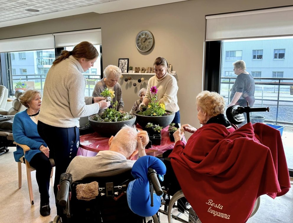 Sumarblóm á svalir