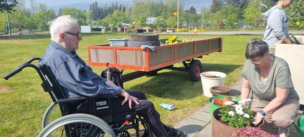 Sumarið er komið í Ási