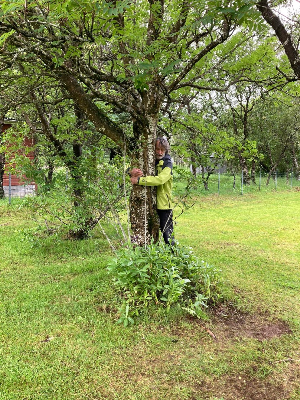 Trén föðmuð og gengið á grasi