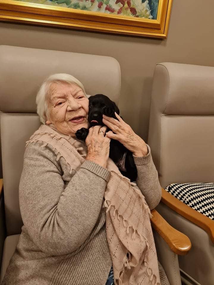 Ferfætlingarnir vöktu lukku