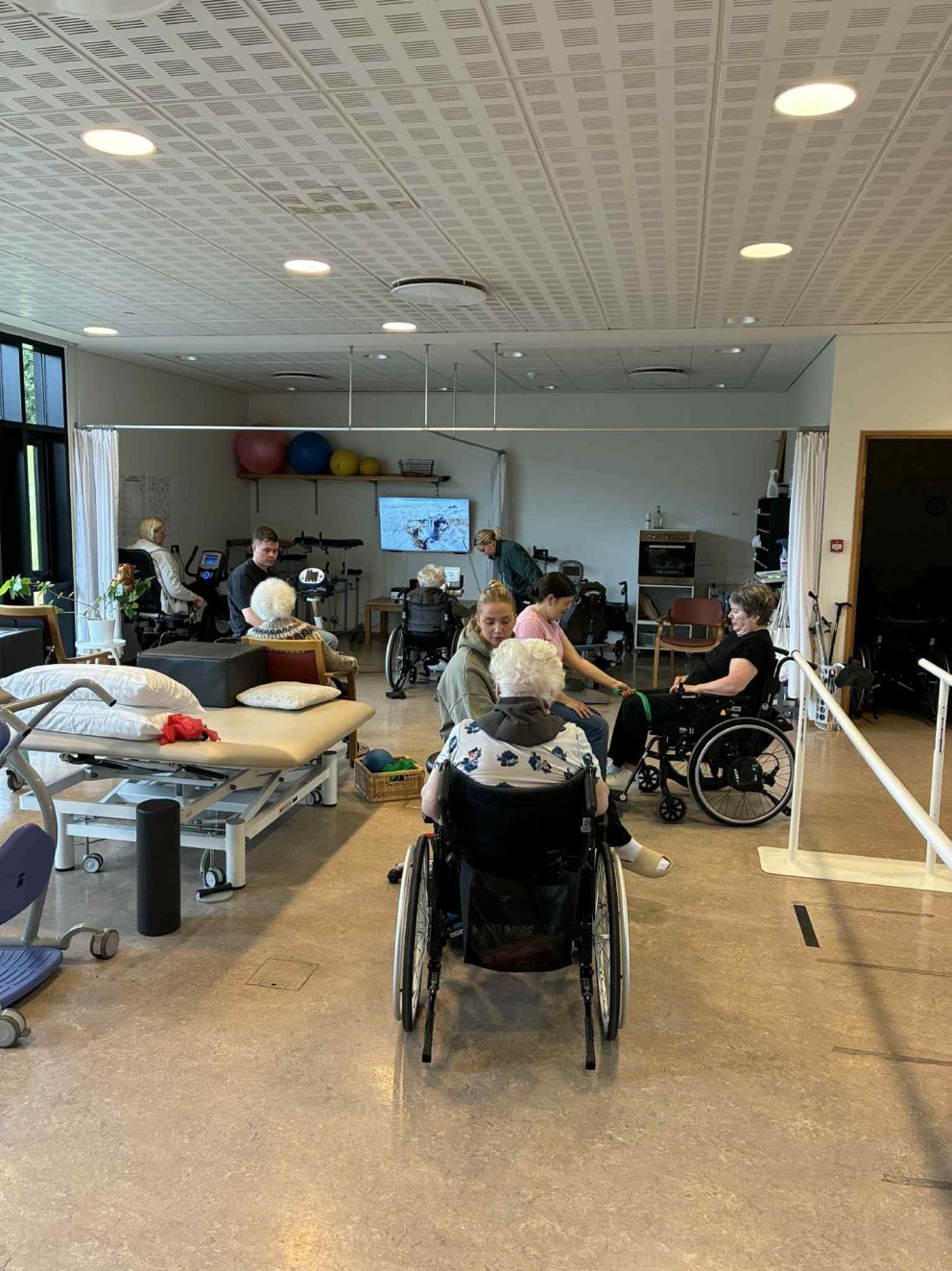 Líf og fjör í sjúkraþjálfun