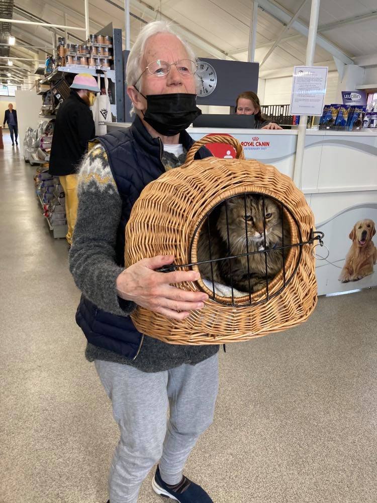 Hnoðri heimsækir dýralækninn