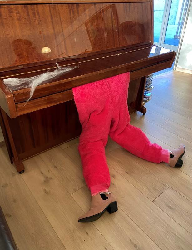 Ásbyrgi og Bæjarás með bestu hrekkjavökuskreytingarnar