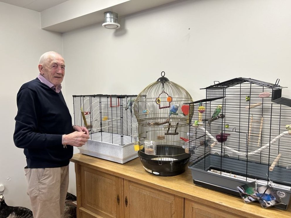 Ungarnir fluttir að heiman