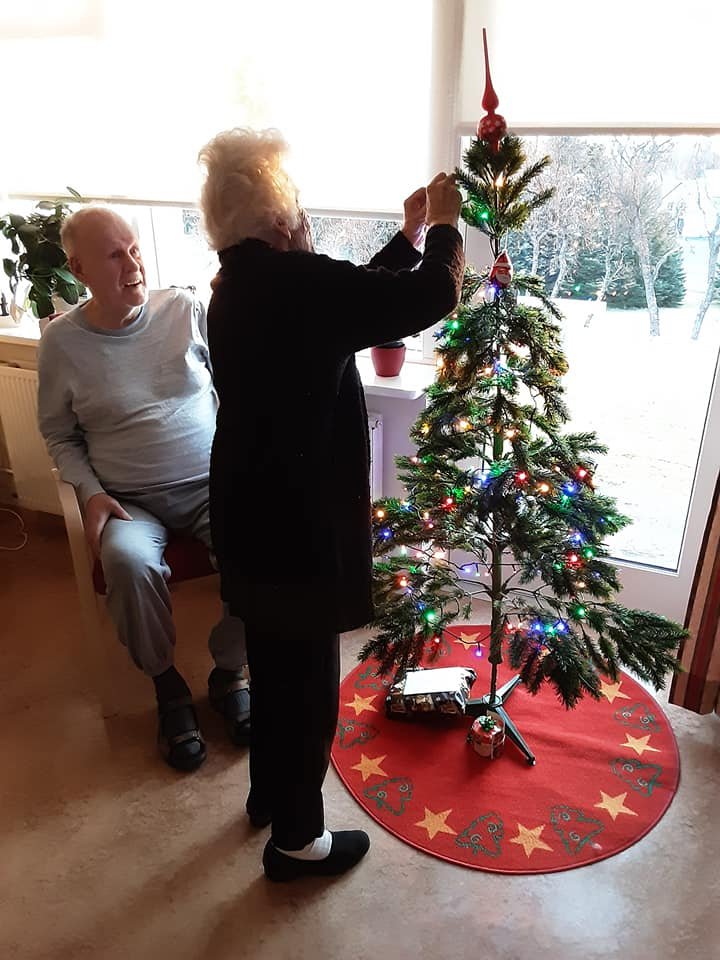 Jólatréð í stofu stendur