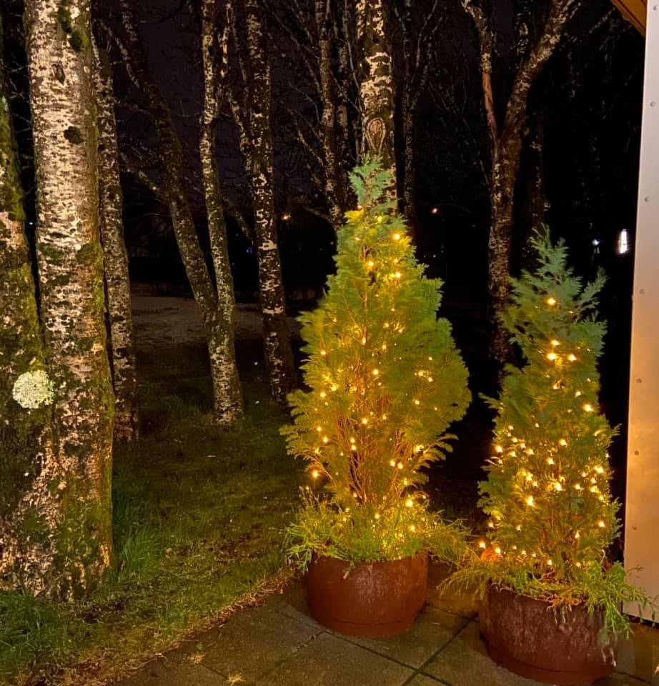 Heimilisfólk lýsir upp í Ási