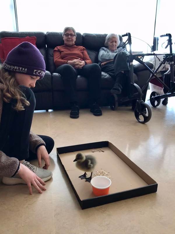 Skemmtileg heimsókn í Mörk