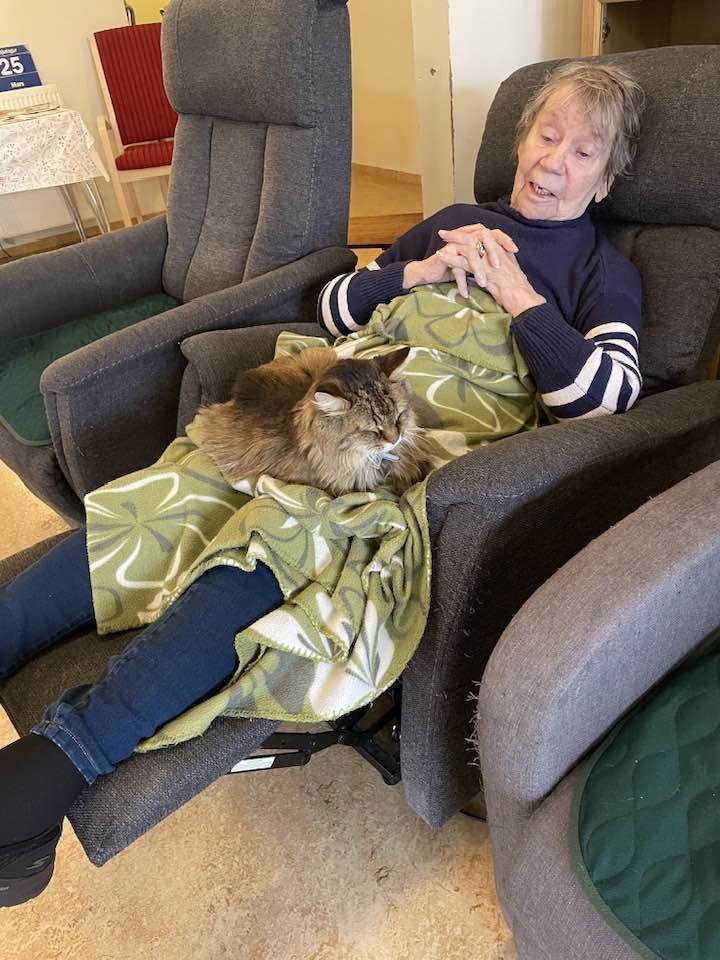 Góð byrjun á degi