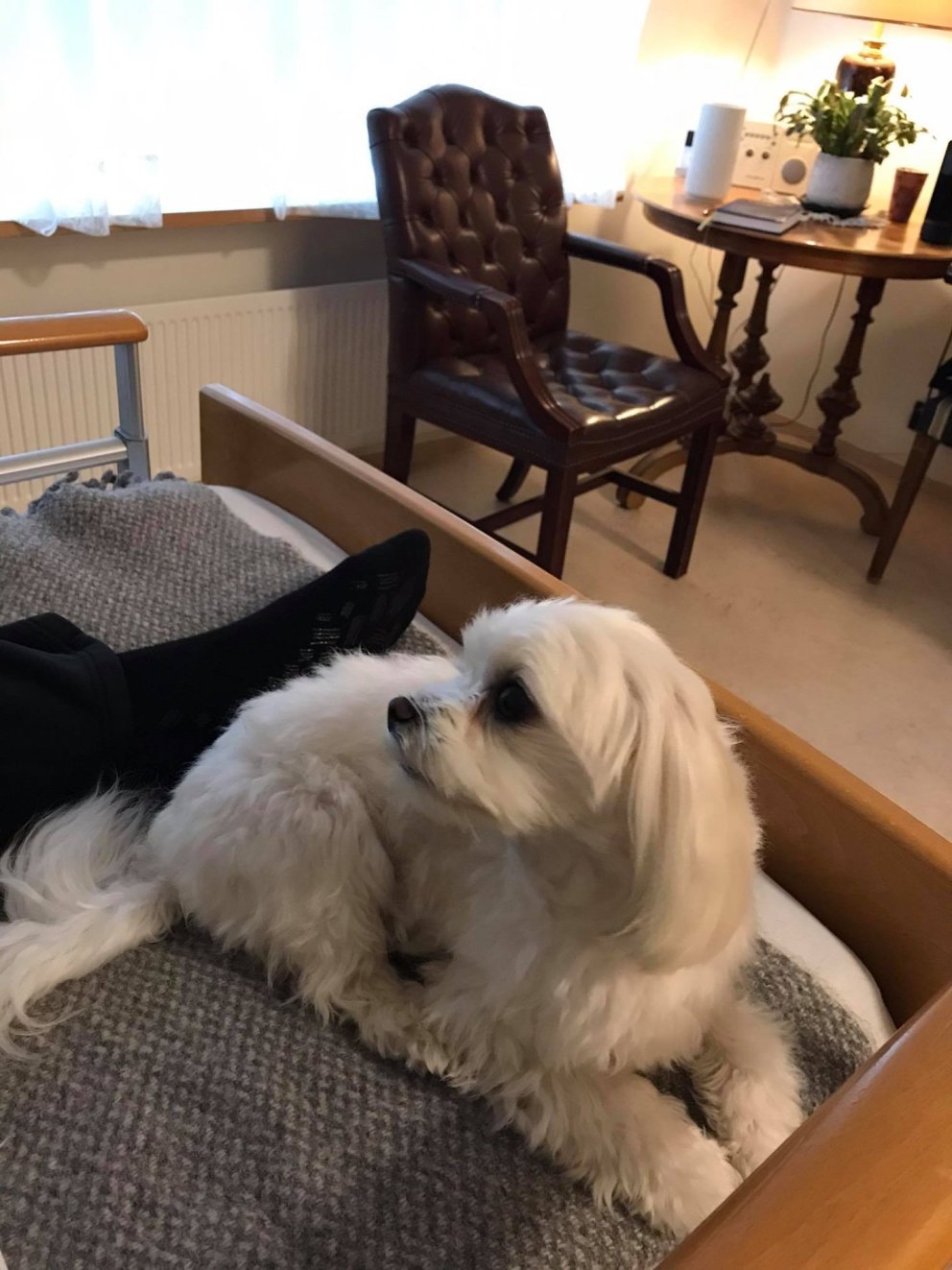 Húni mætir í vinnu