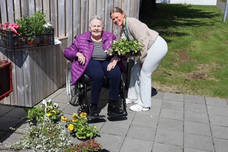 Sumarblómin sett niður