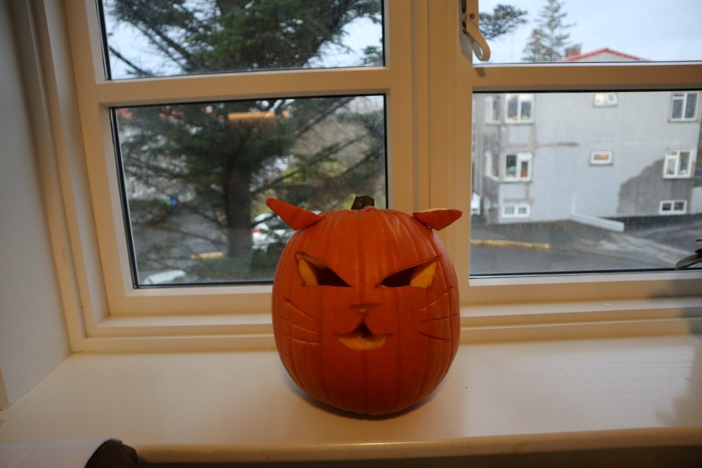 Leðurblökur og grasker á Grund