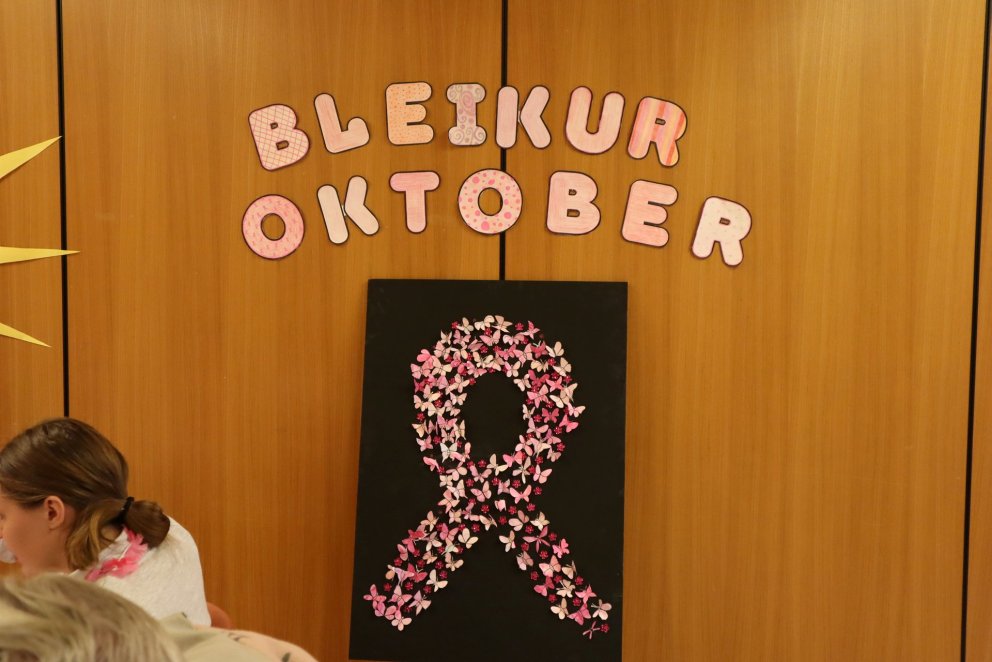 Bleikur dagur í Mörk