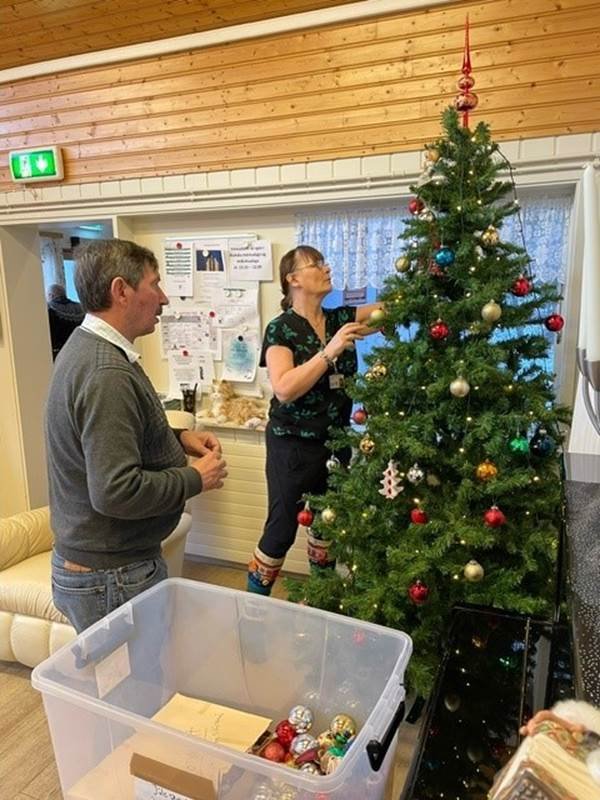 Jólatréð í stofu stendur