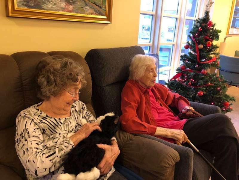 Rafkisur flytja á Grund