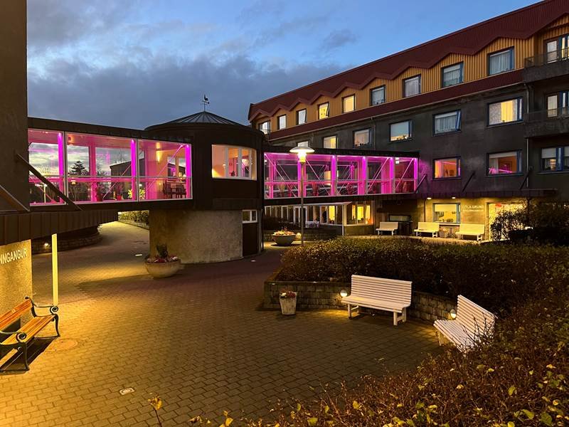 Bleik Grundarheimili