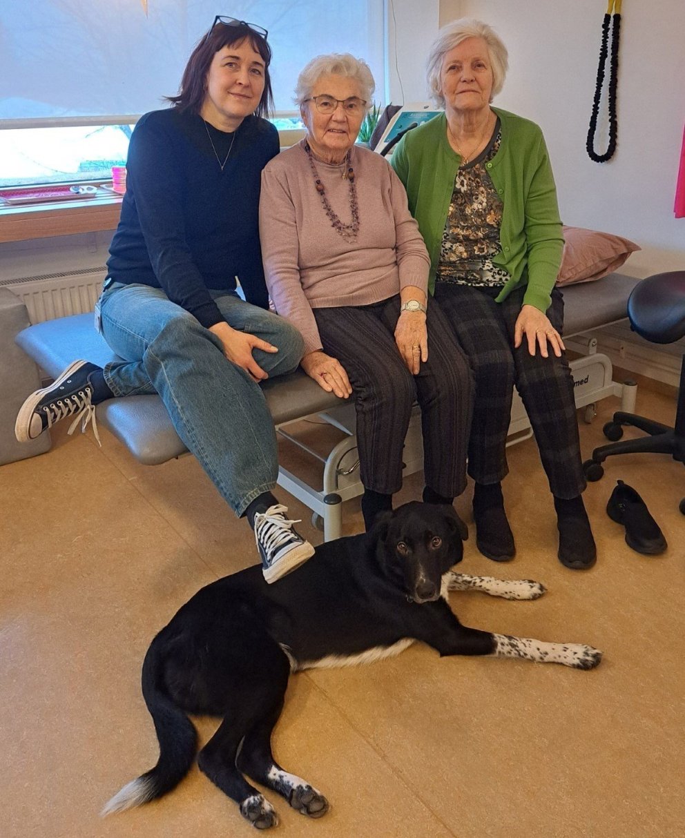 Pongó fylgist með æfingunum