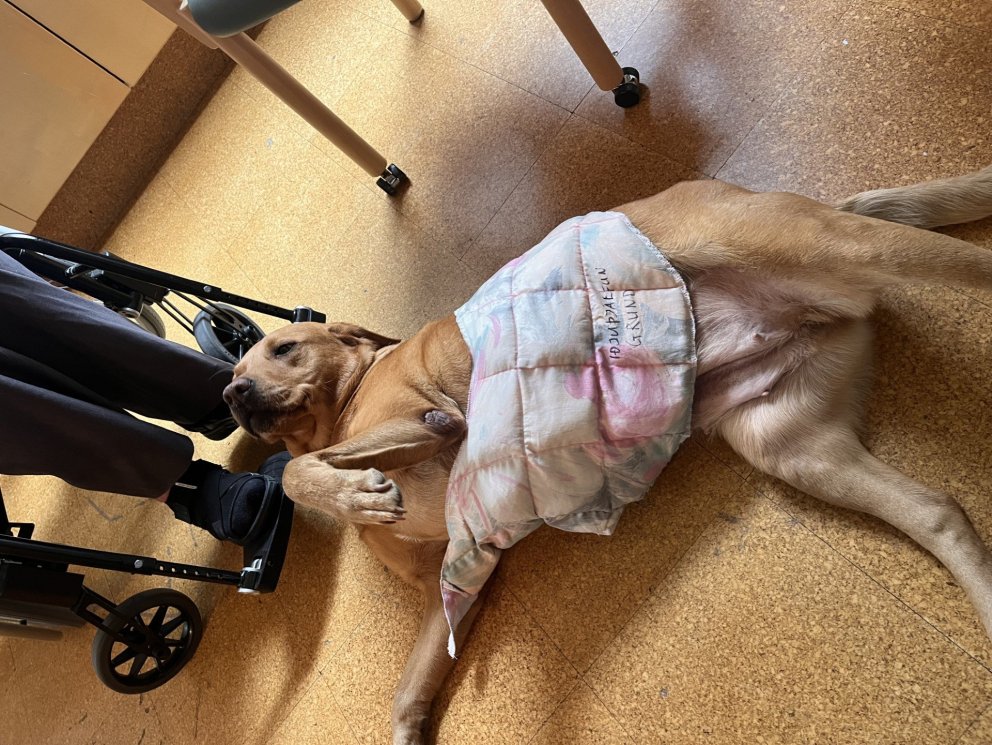 Góður gestur í heimsókn