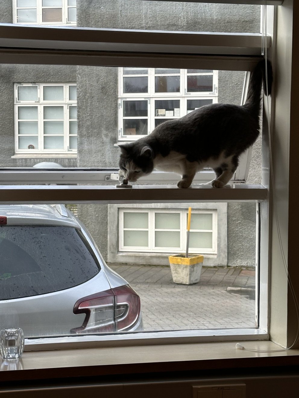 Óvæntur gestur á stjórnarfundi