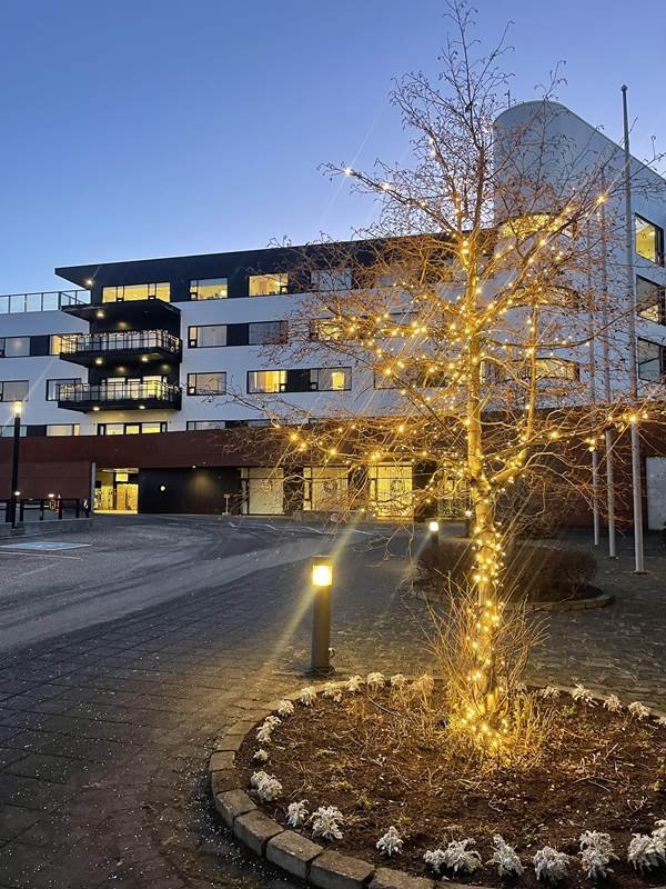 Seríur og kransar komnir upp