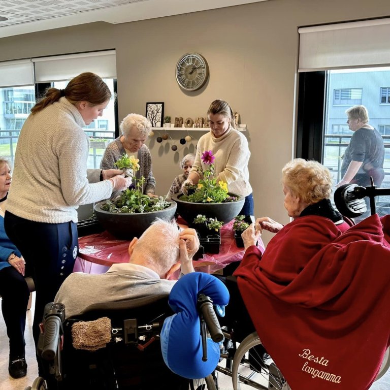 Sumarblóm á svalir