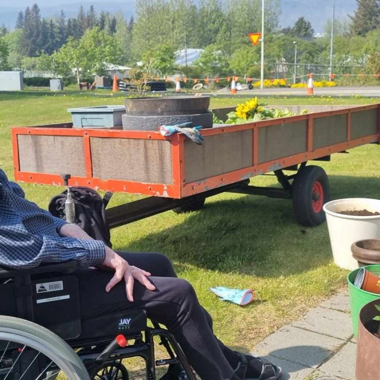 Sumarið er komið í Ási