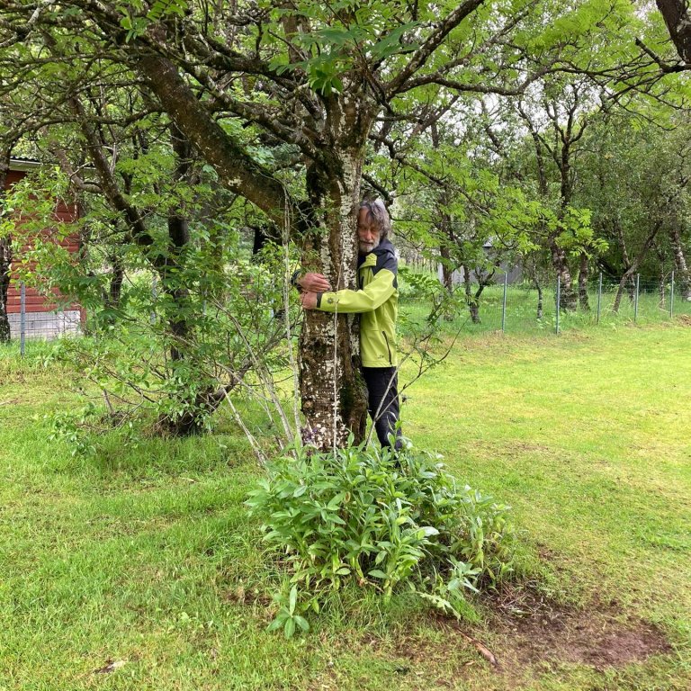 Trén föðmuð og gengið á grasi