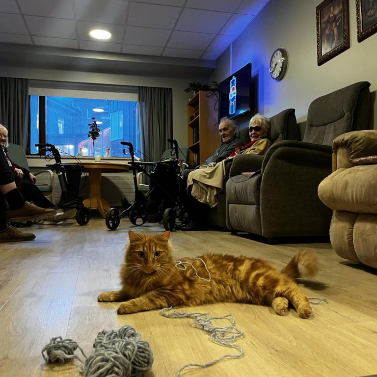 Kisa unir sér vel á Grund