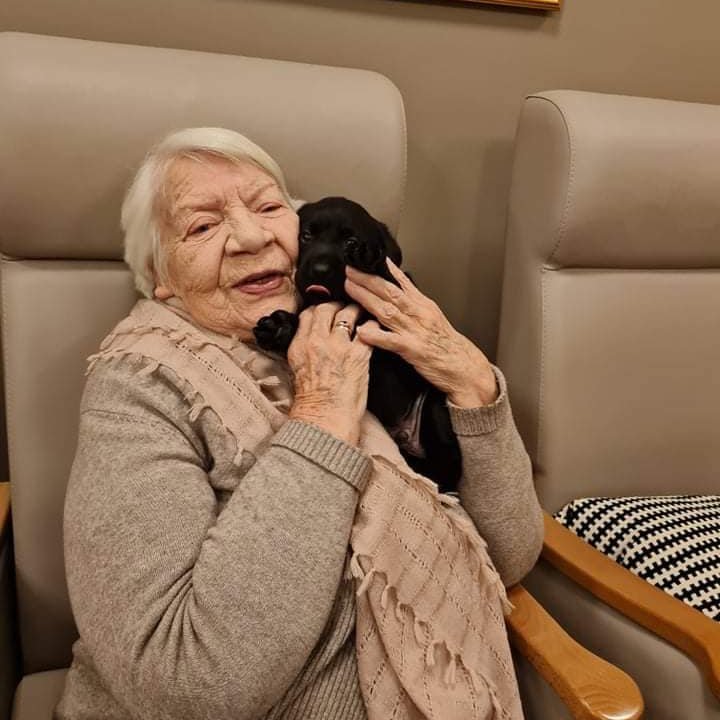 Ferfætlingarnir vöktu lukku