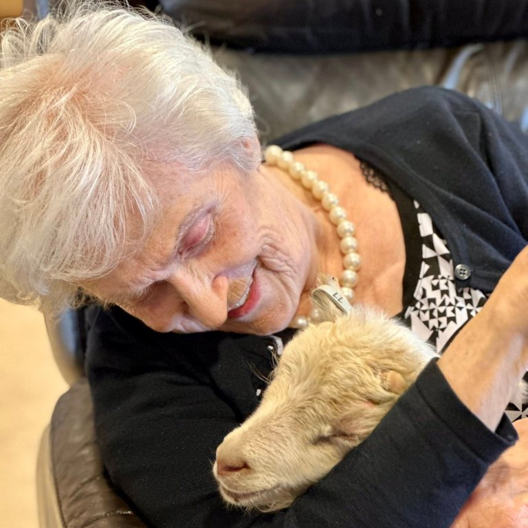 Loki heillaði alla uppúr skónum