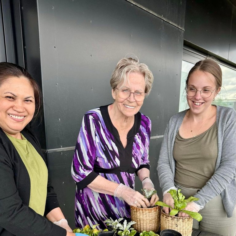 Svalirnar í Mörk orðnar sumarlegar