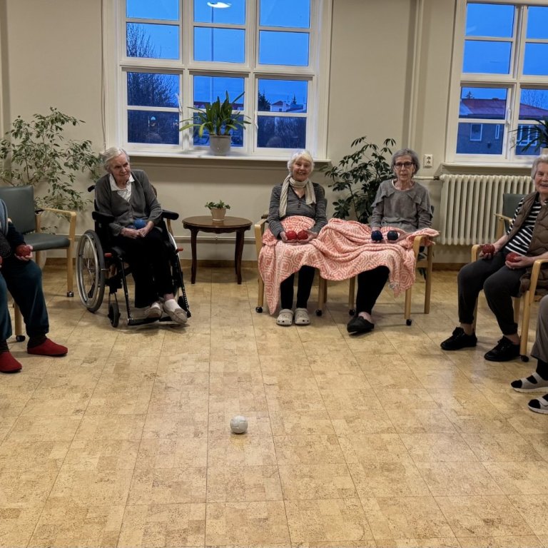 Boccia eykur hreyfigetu í efri hluta líkamans