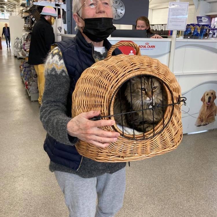 Hnoðri heimsækir dýralækninn