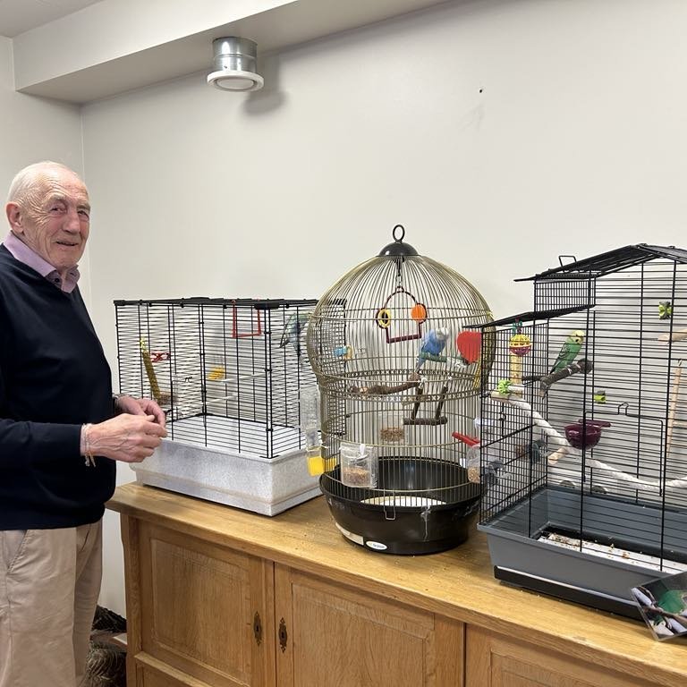 Ungarnir fluttir að heiman