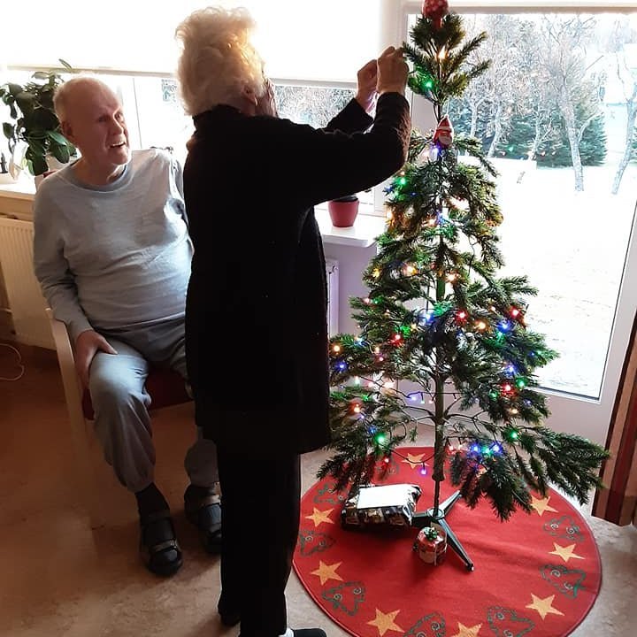 Jólatréð í stofu stendur