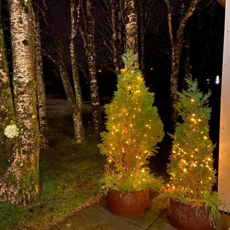 Heimilisfólk lýsir upp í Ási