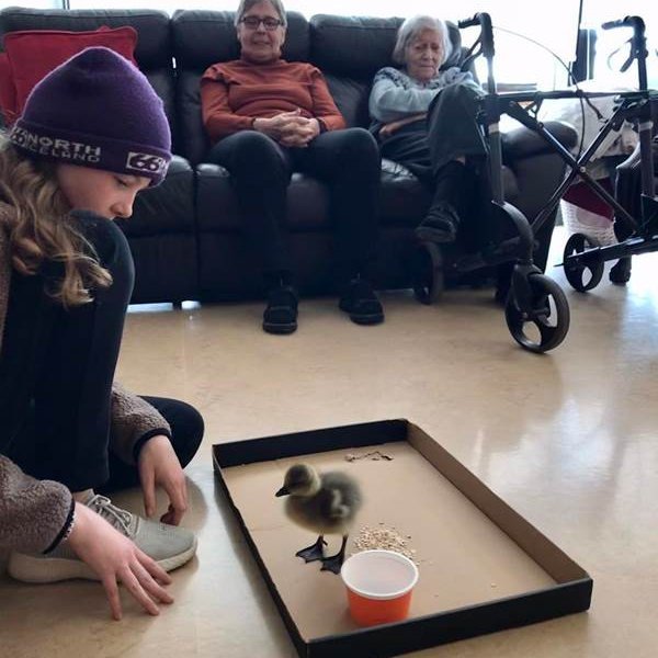 Skemmtileg heimsókn í Mörk