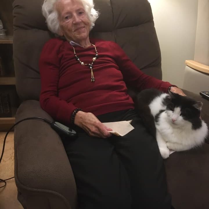 Falleg vinátta í Bæjarási