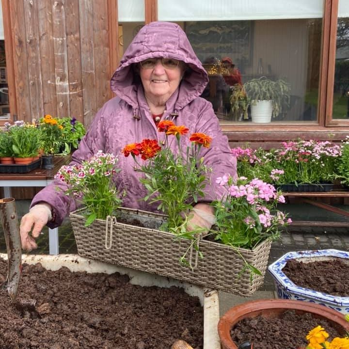 Litrík blómaker í Ási