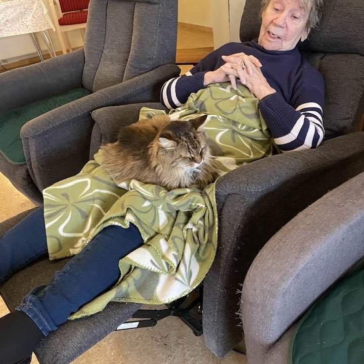 Góð byrjun á degi