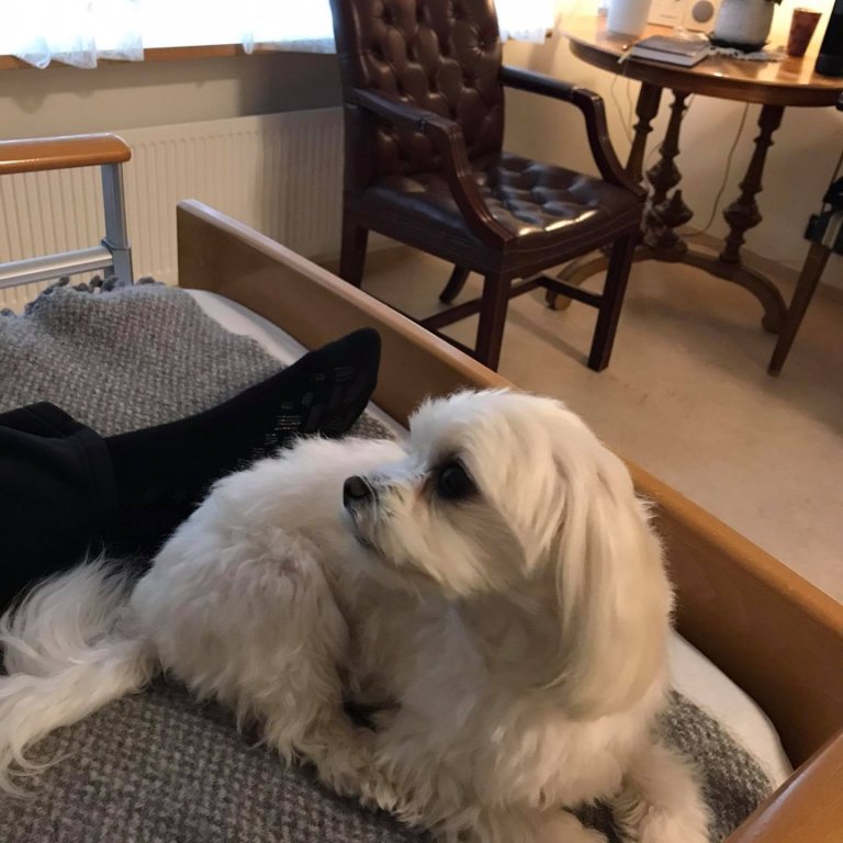 Húni mætir í vinnu