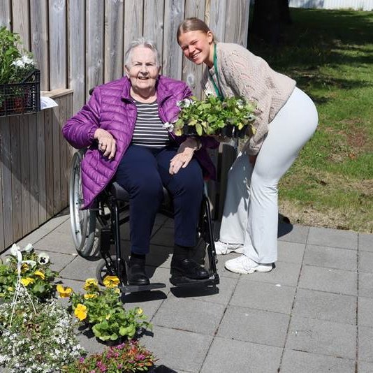 Sumarblómin sett niður