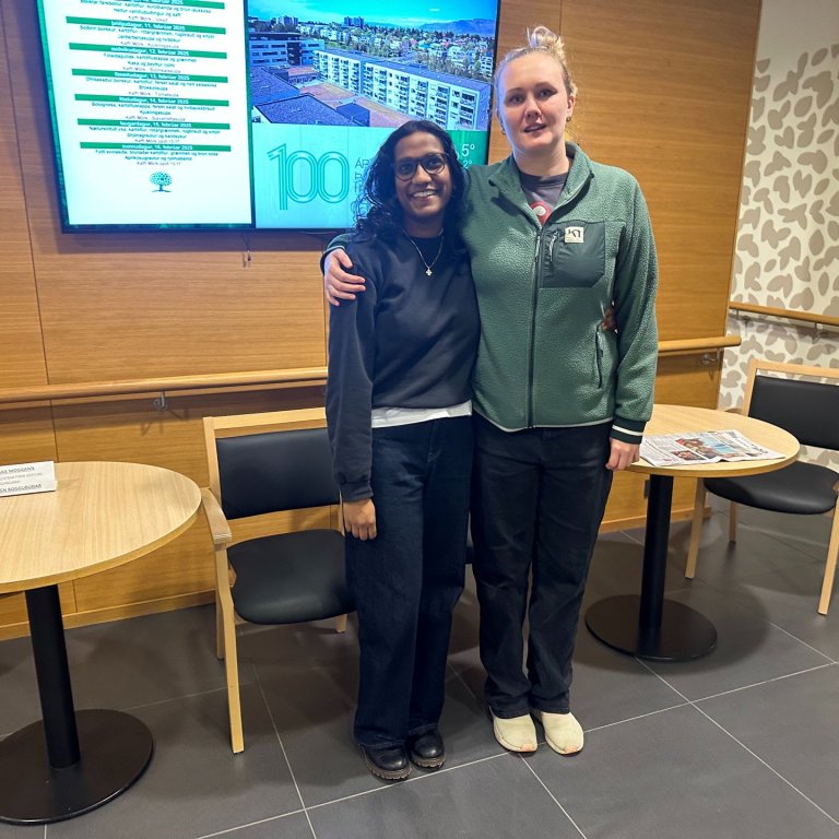 Danskir nemendur í Mörk