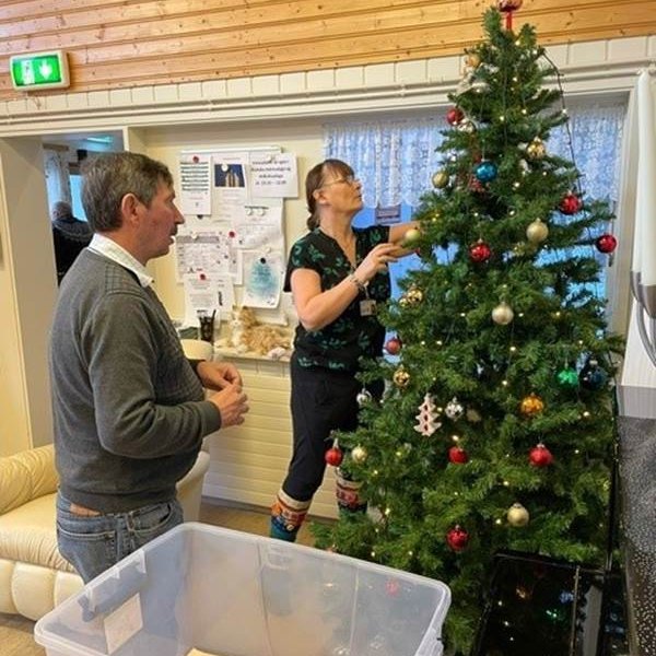 Jólatréð í stofu stendur