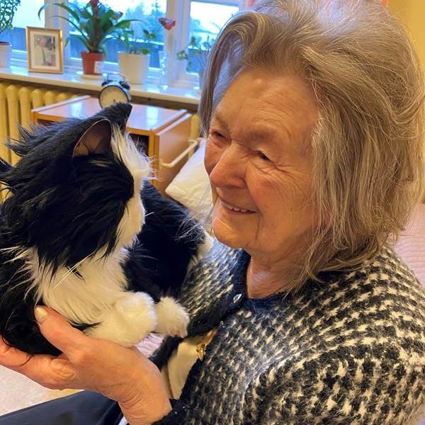 Kisa mín, kisa mín