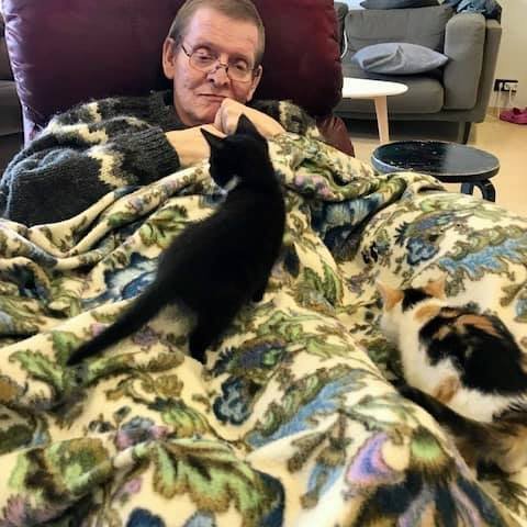 Kettlingar i heimsókn