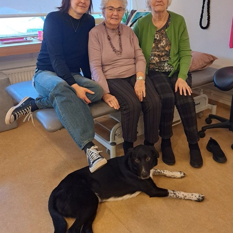 Pongó fylgist með æfingunum