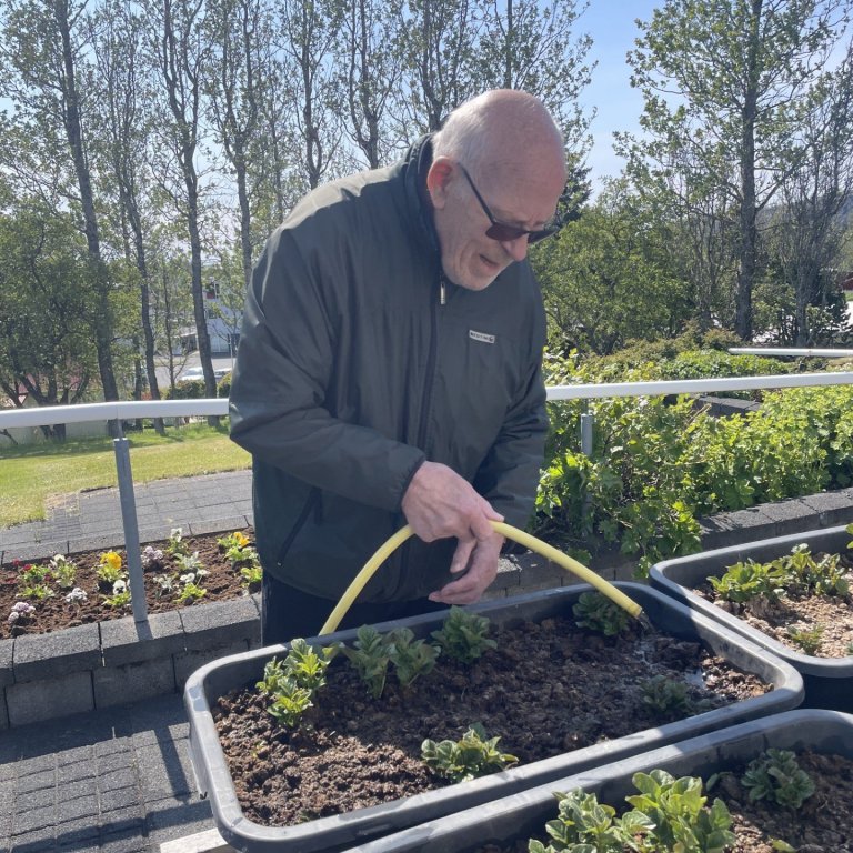 Litríku sumarblómin sett niður